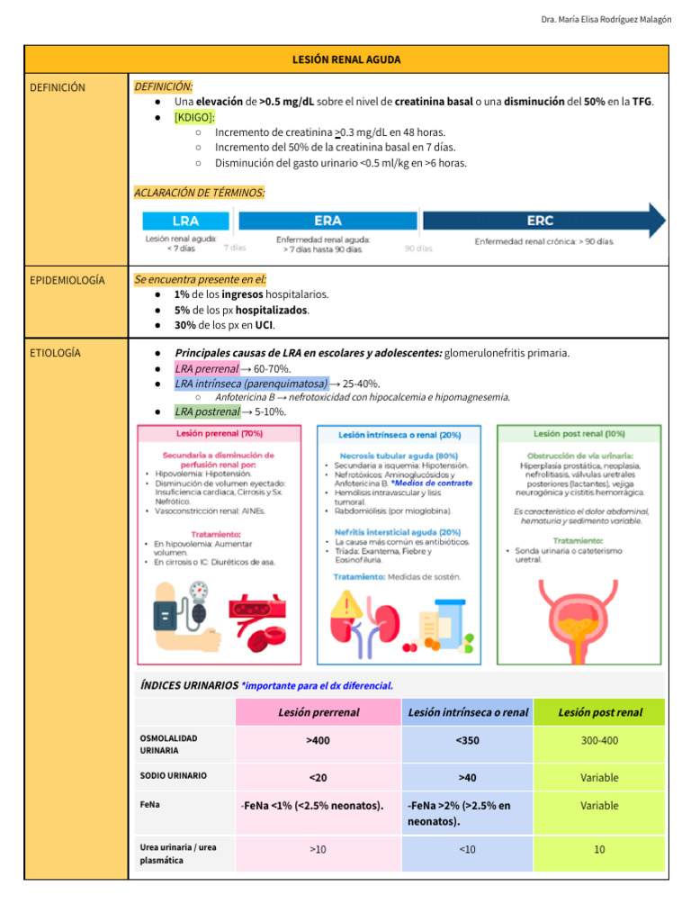 NEFRO | PDF | Nefrología | Medicina CLINICA