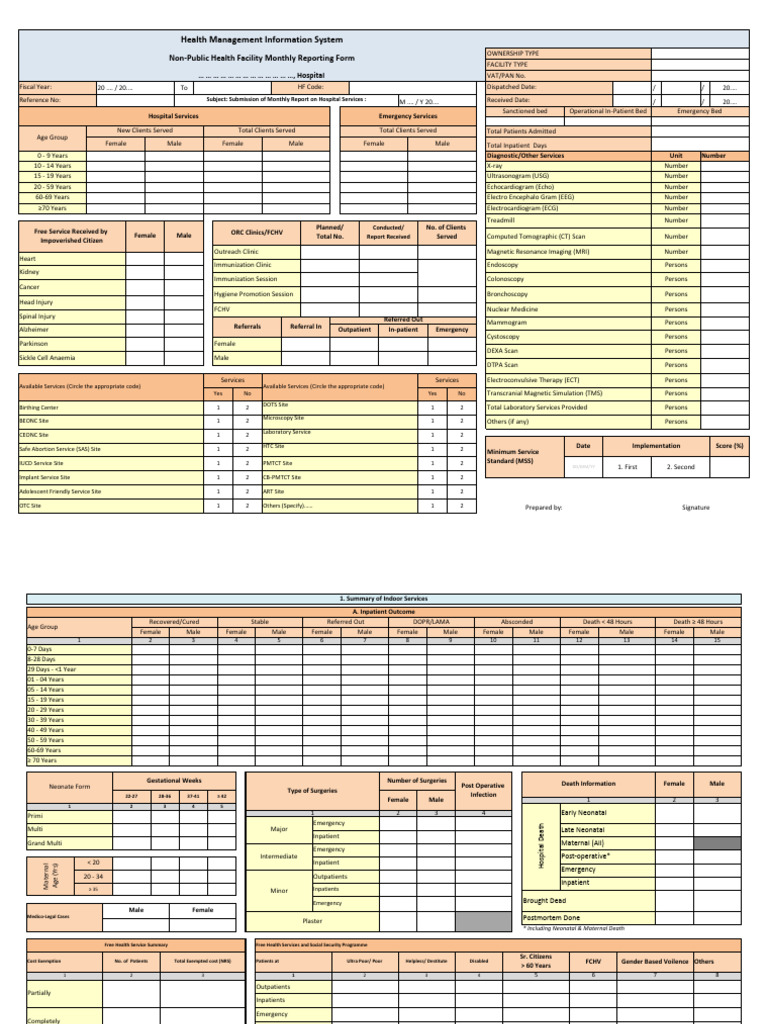 HMIS Reporting Form 95 Mlwms6b | PDF