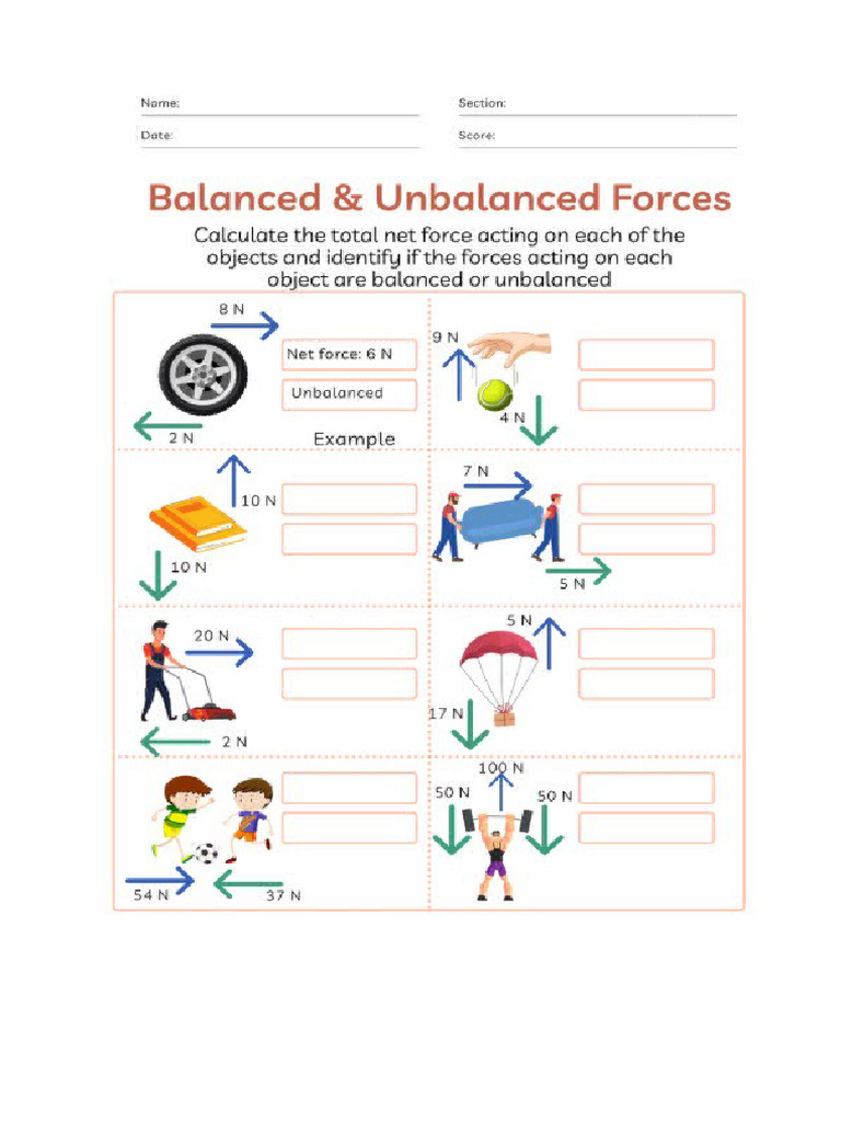 Worksheet Grade 7 Balanced and Unbalanced Forces | PDF