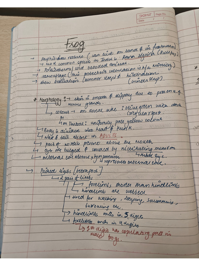 Frog Notes ? | PDF