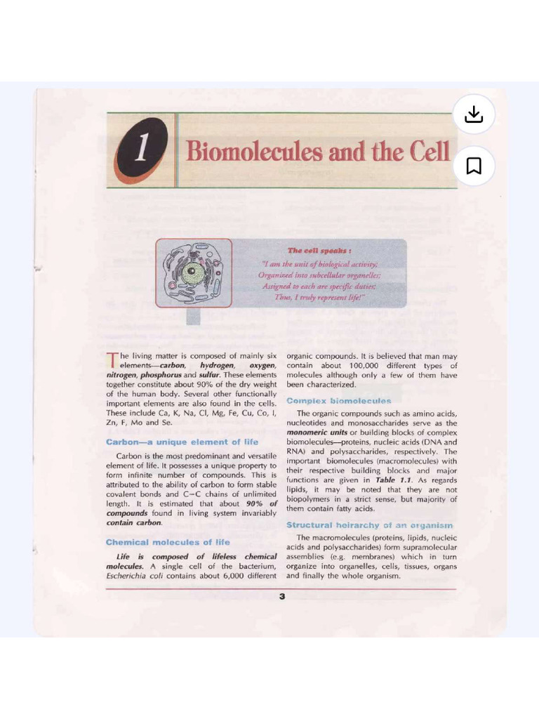 Cell Structure and Biomolecules | PDF