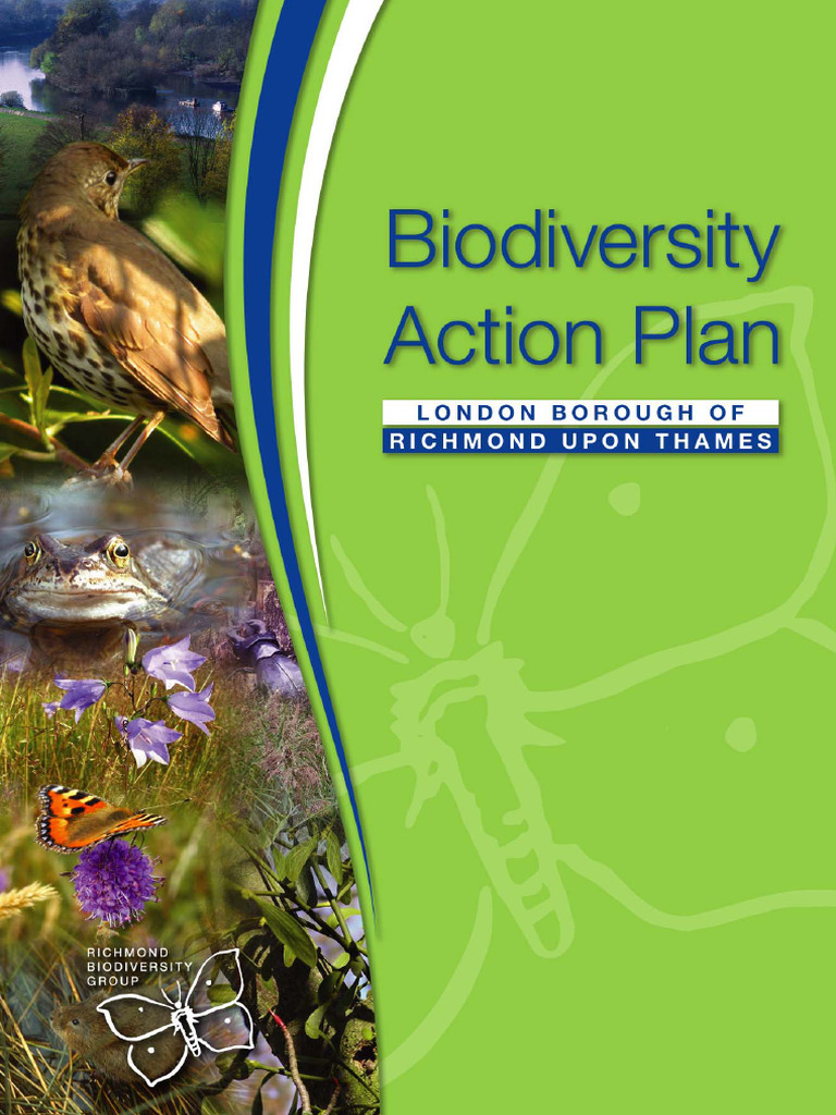 Biodiversity Action Plan | PDF