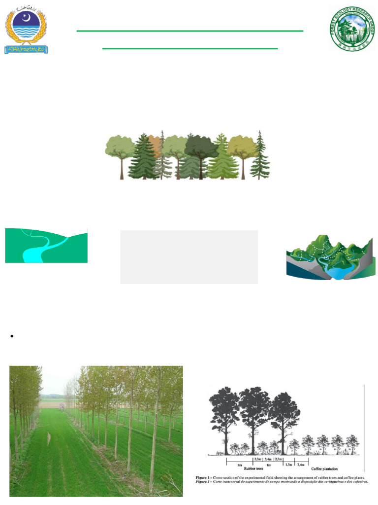 7-Dis of Trees in F-Land | PDF | Ecosystem | Agriculture