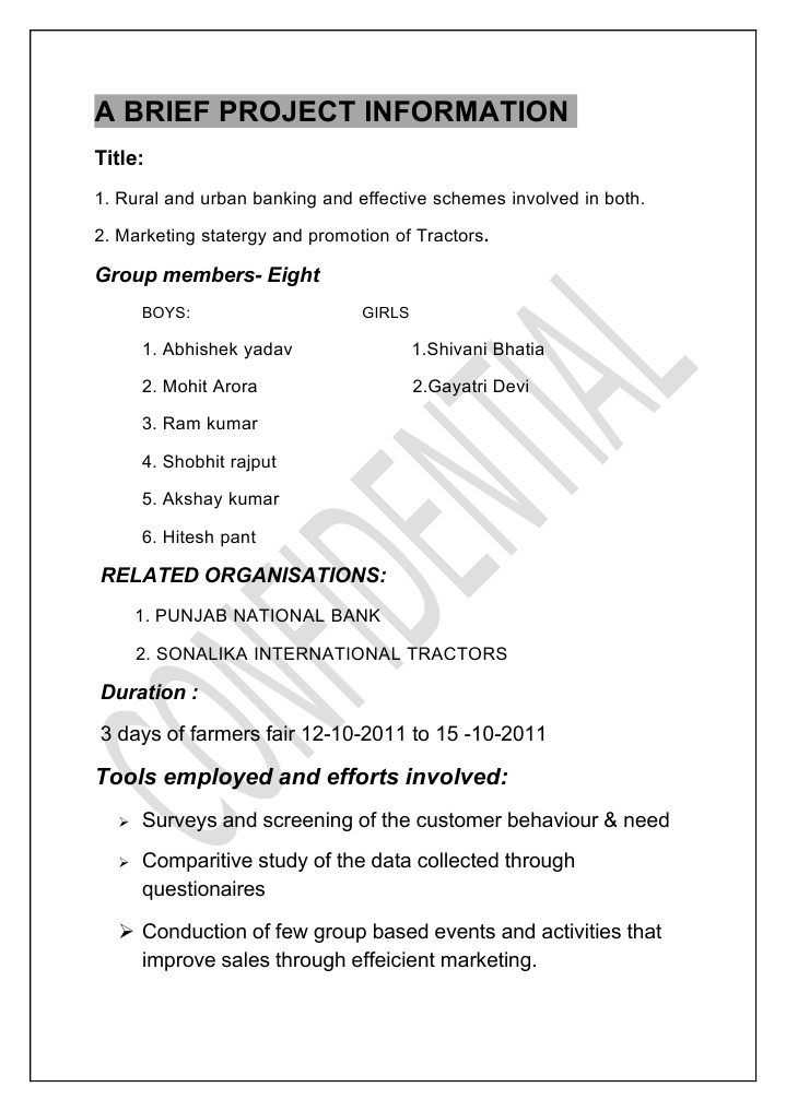 Project Brief | PDF