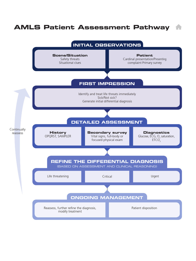 AMLS Pathway | PDF