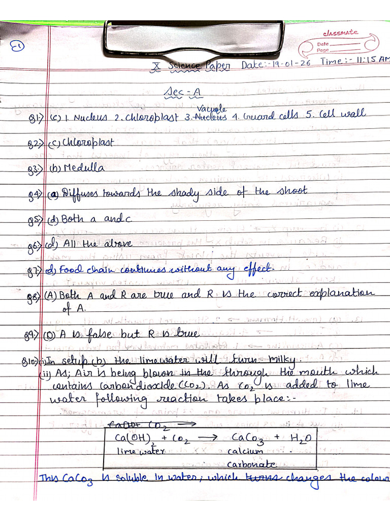 Science Answer Sheet | PDF