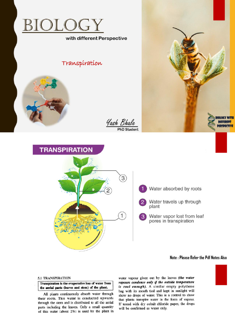 Bio Lecture Transpiration | PDF