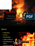 Burns