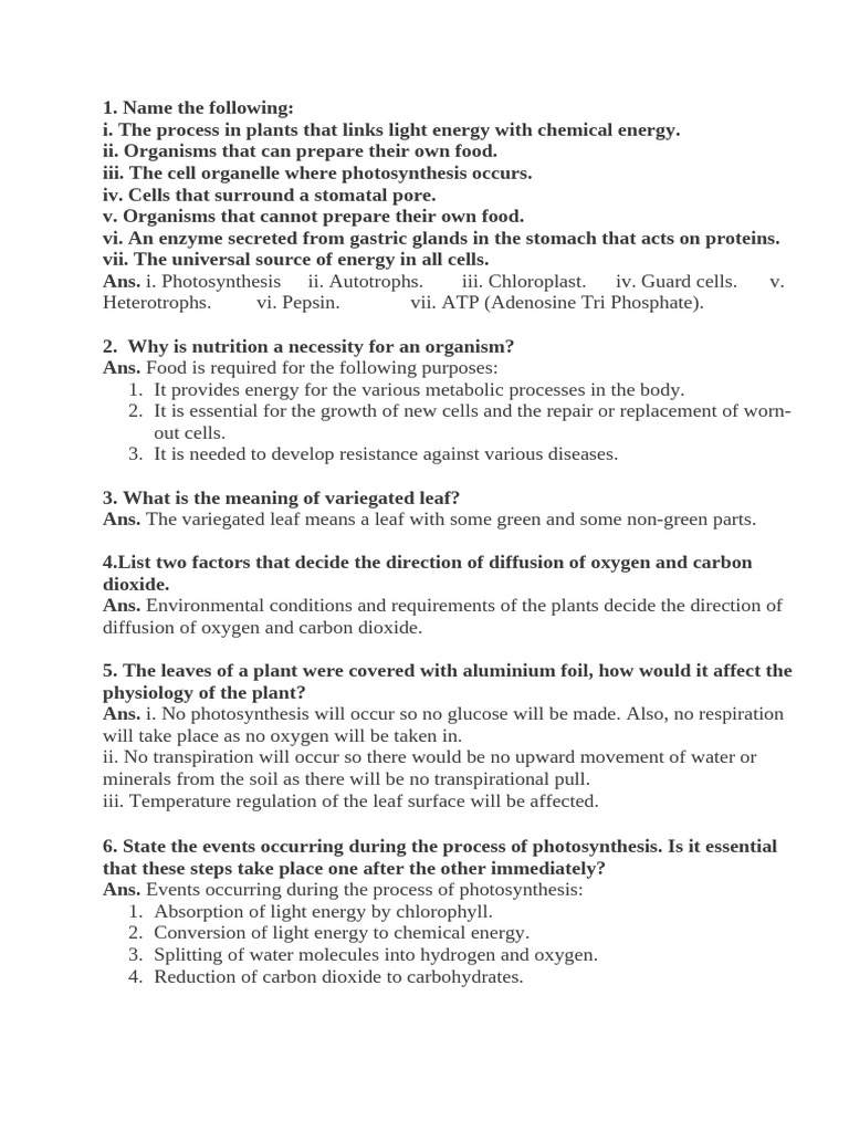 Test Questions Life Processes With Answers | PDF | Digestion | Cellular ...