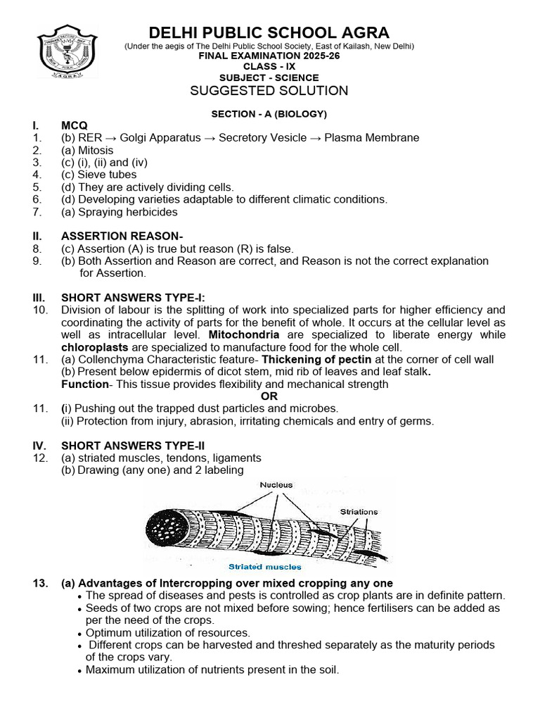 Suggested Solution Grade Ix Science Final Exam | PDF | Force | Ion