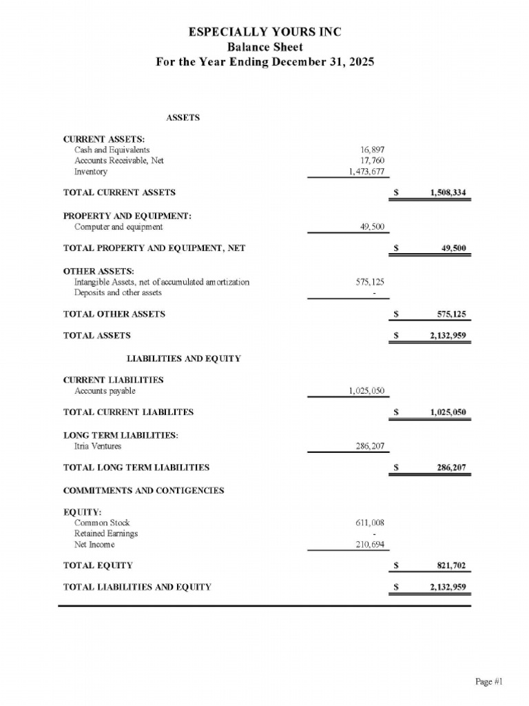 Financial Statement - EY 2025 | PDF