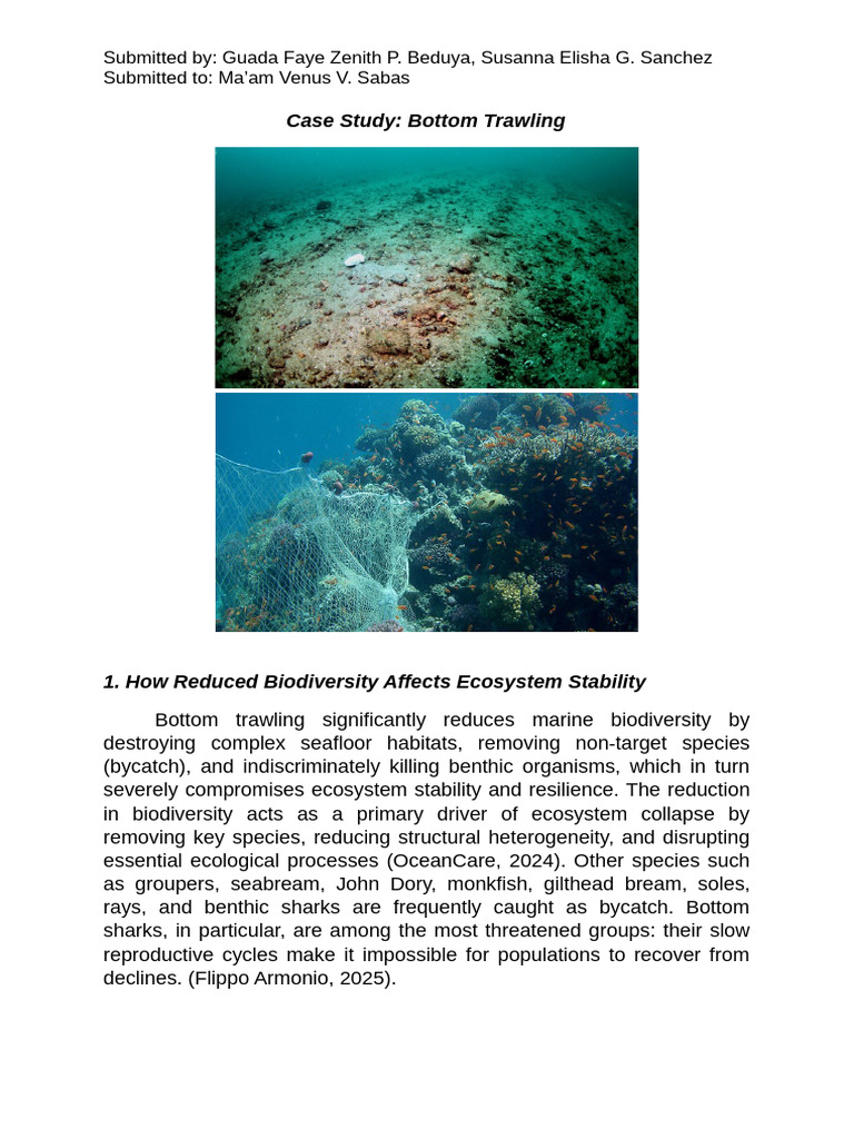 Science Case Study | PDF | Trawling | Biodiversity