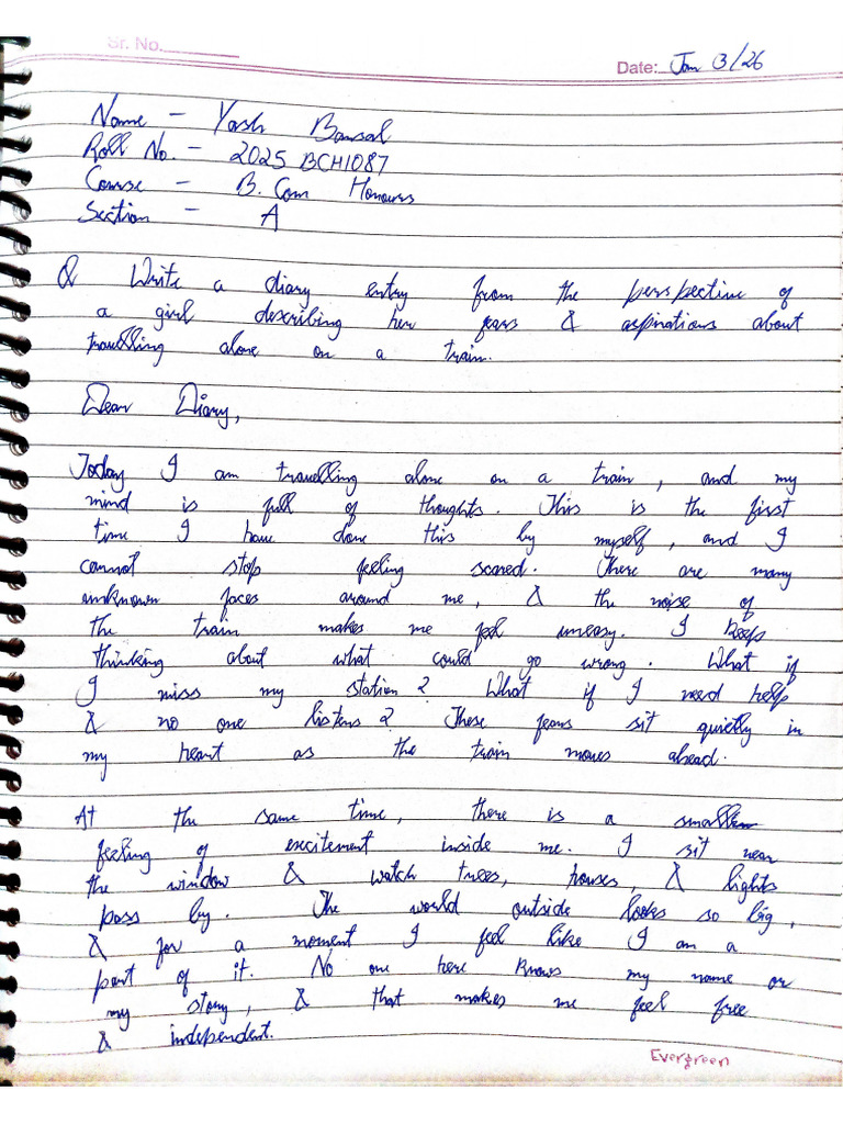 Diary Entry | PDF