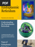 SER vs RER: Functions and Differences | PDF | Endoplasmic Reticulum ...