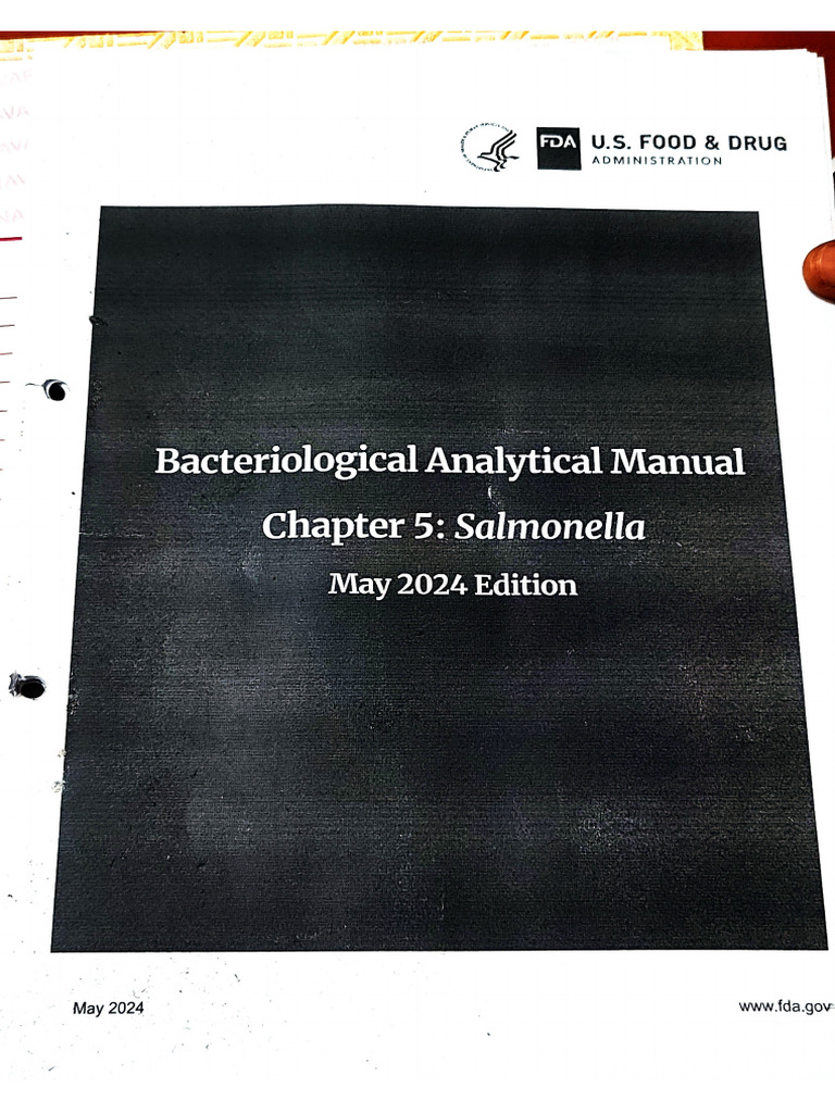 Bam PDF | PDF