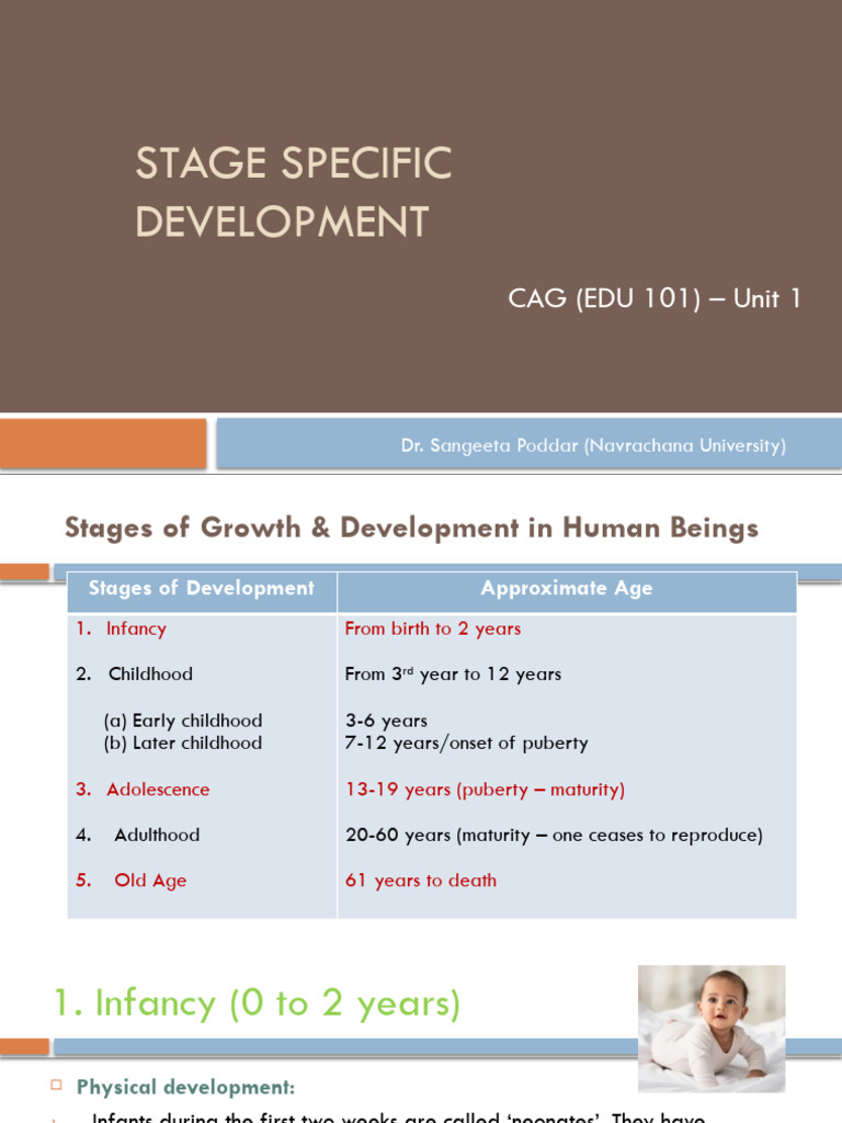 Stages of Development | PDF | Adolescence | Infants