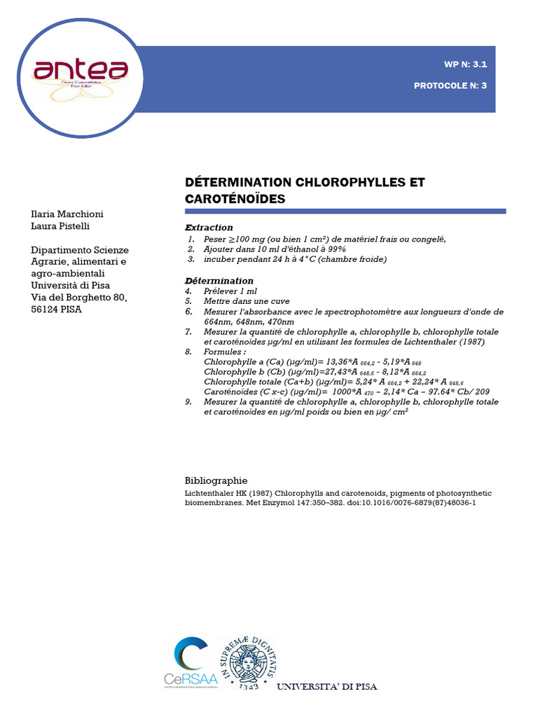 Protocole 3 | PDF