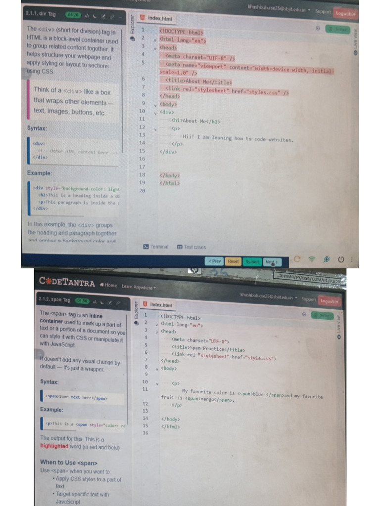 WDL Module 2 | PDF