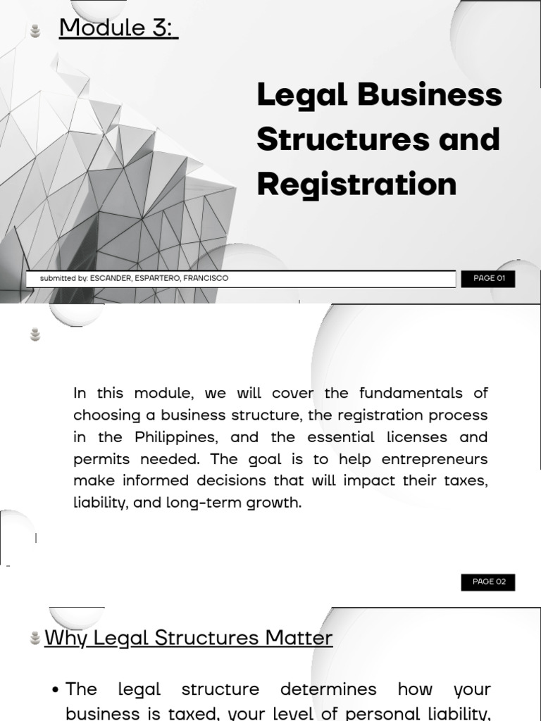 MODULE 3 Legal Business Structures and Registration | PDF | Partnership ...