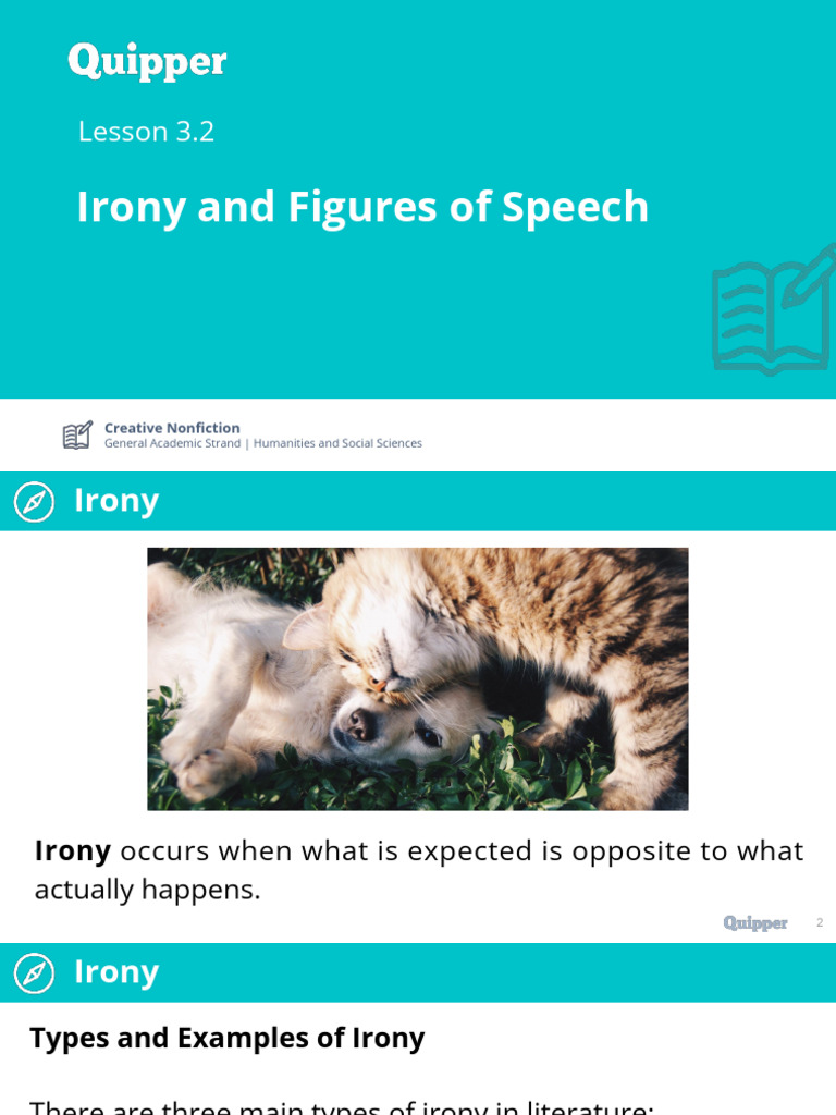 Irony and Figures of Speech | PDF | Irony | Rhetorical Techniques