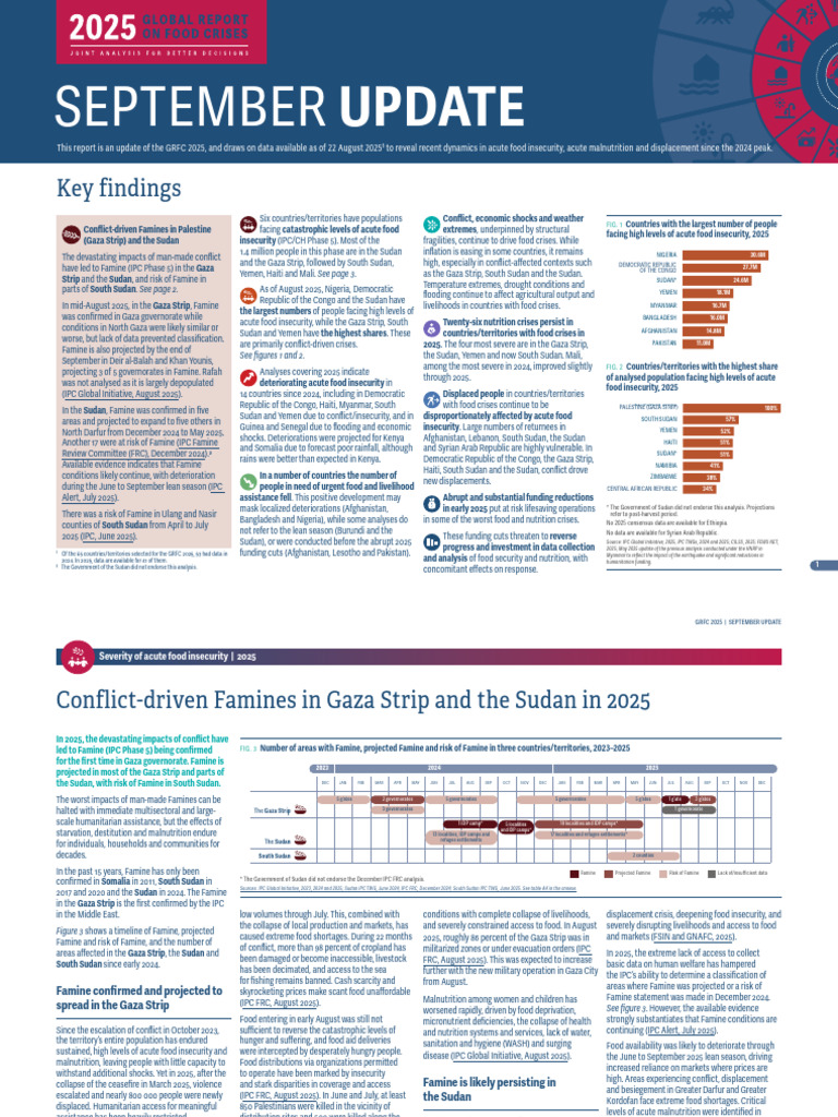 GRFC2025 September Update FullReport | PDF | Famine | Food Security