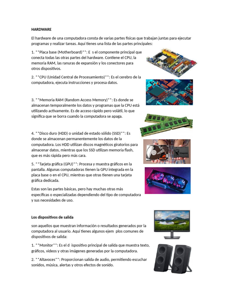 Hardware | PDF | Hardware de la computadora | Almacenamiento de datos ...