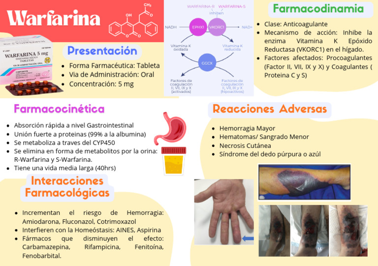 Warfarina (1) | PDF