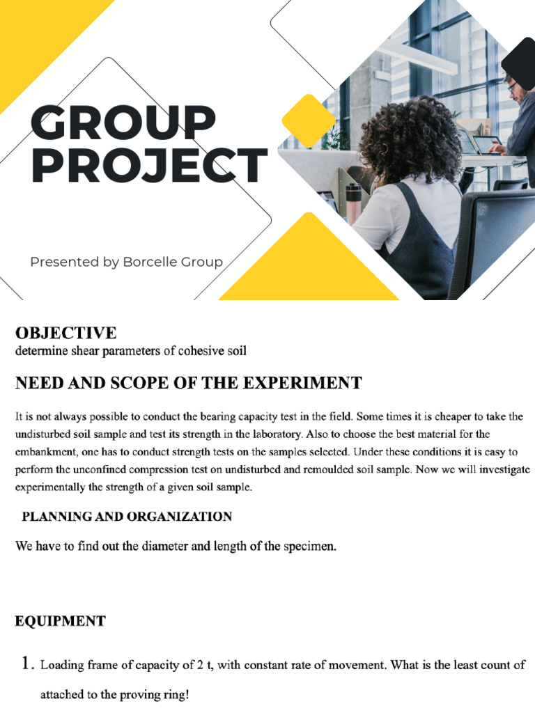 Group Project: Presented by Borcelle Group | PDF