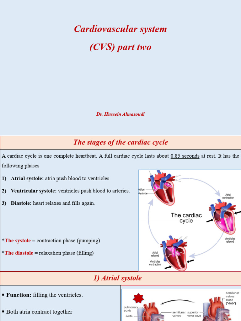 Cardiovascular System Part Two | PDF | Heart Valve | Diastole