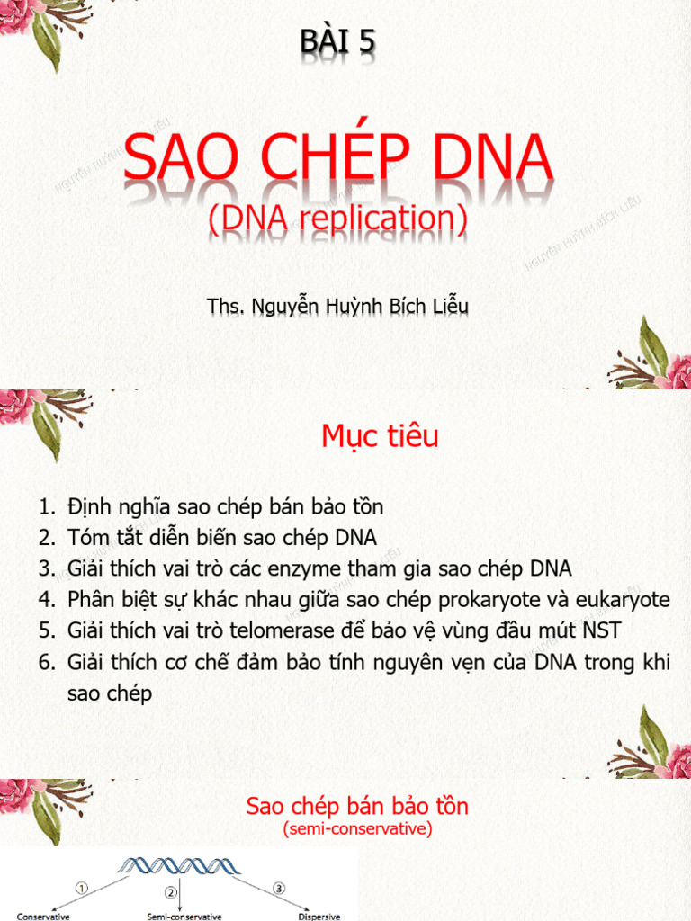 Bài 5. Sự Sao Chép (Dna Replication) | PDF