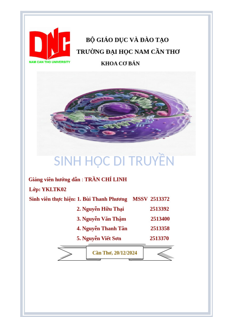PT SHDT | PDF