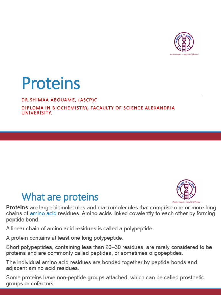 Protien Lecture PDF | PDF | Protein Structure | Amino Acid