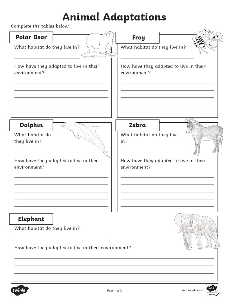 Animal Adaptions Activty Sheet | PDF | Elephant | Habitat