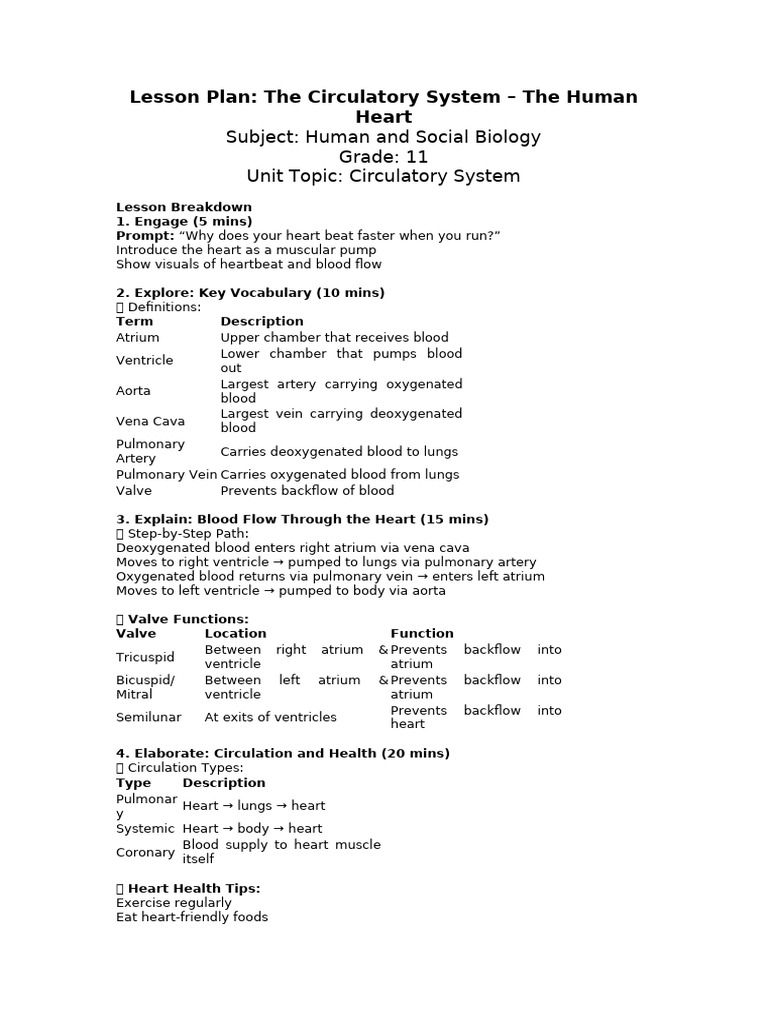 19.0 The Circulatory System The Human Heart | PDF