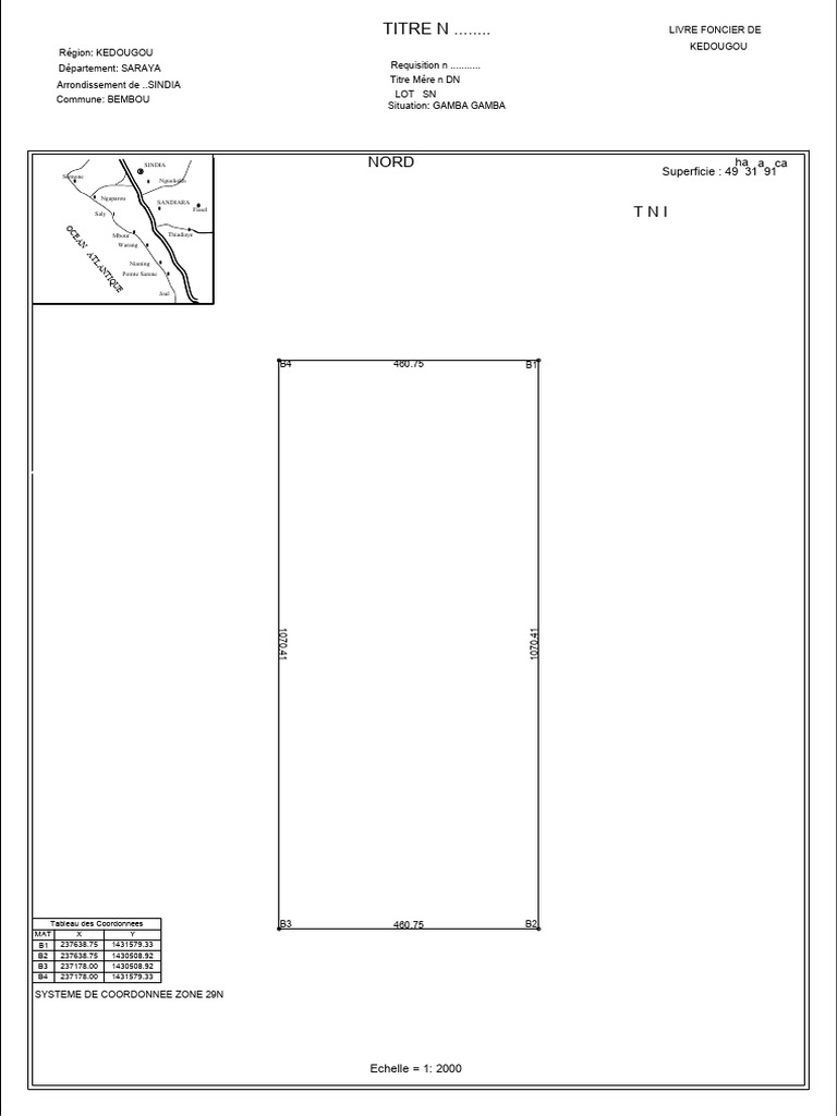 Gamba | PDF