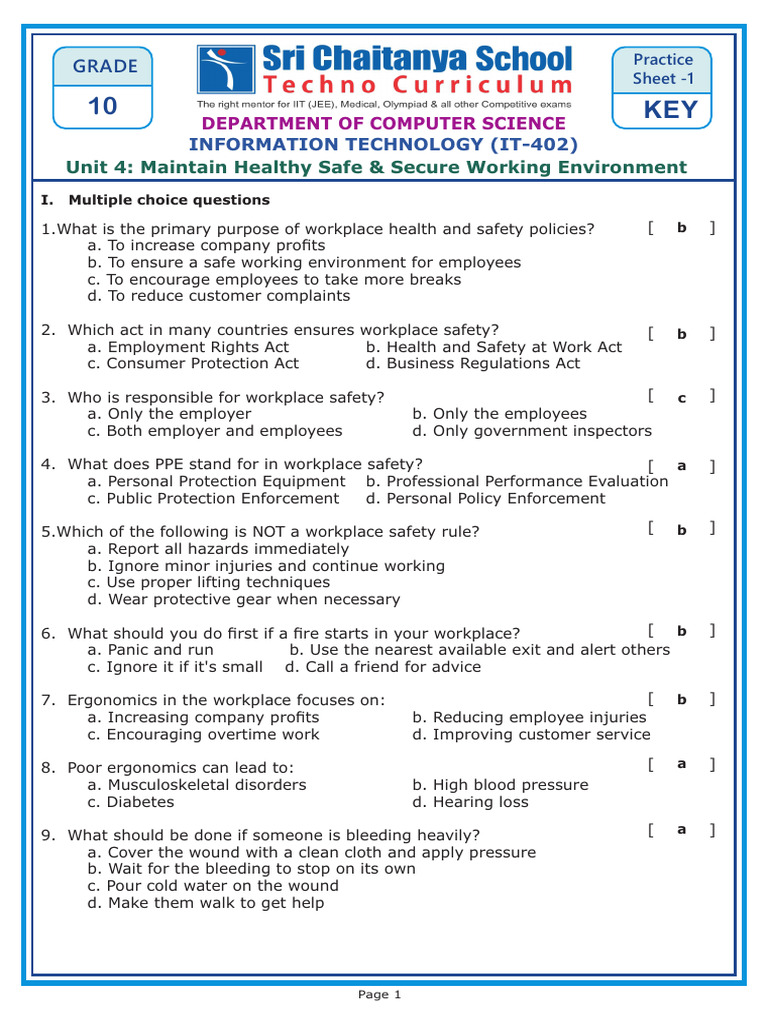 Grade X IT Part B-Unit 4-Practice Sheet 1 Key | PDF | Occupational ...