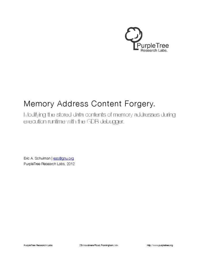 Memory Address Content Forgery Techniques | PDF | Computer Data Storage ...