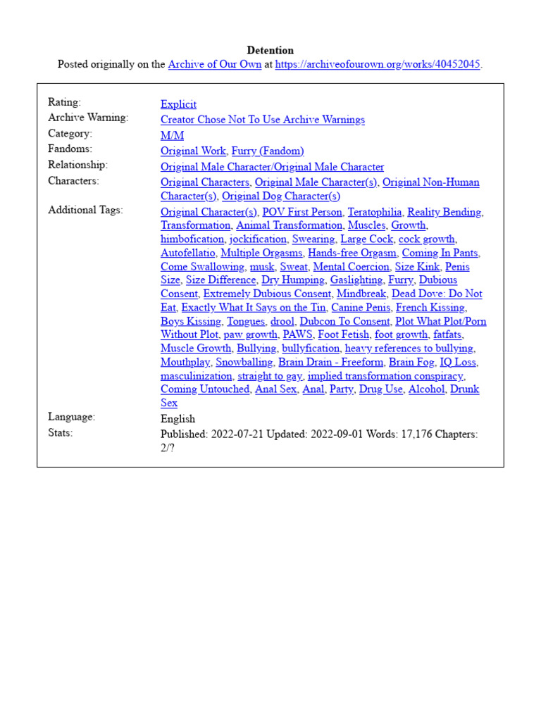 Detention | PDF