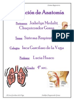 Asignación de Anatomía