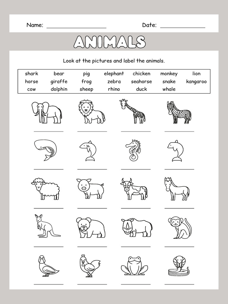 Animals Worksheet | PDF