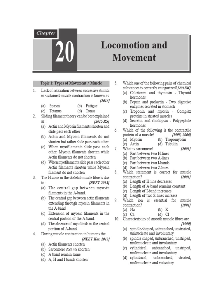Locomotion and Movement | PDF | Muscle Contraction | Vertebra