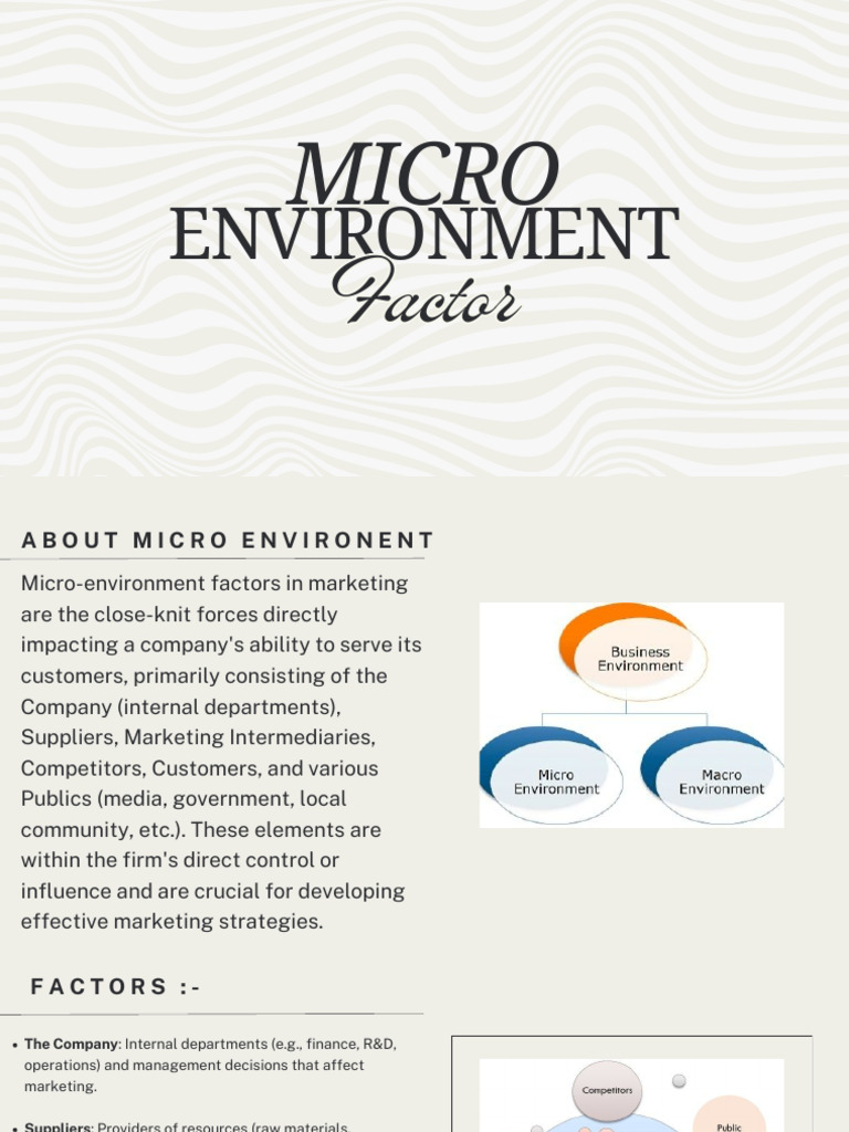 Micro Environment | PDF