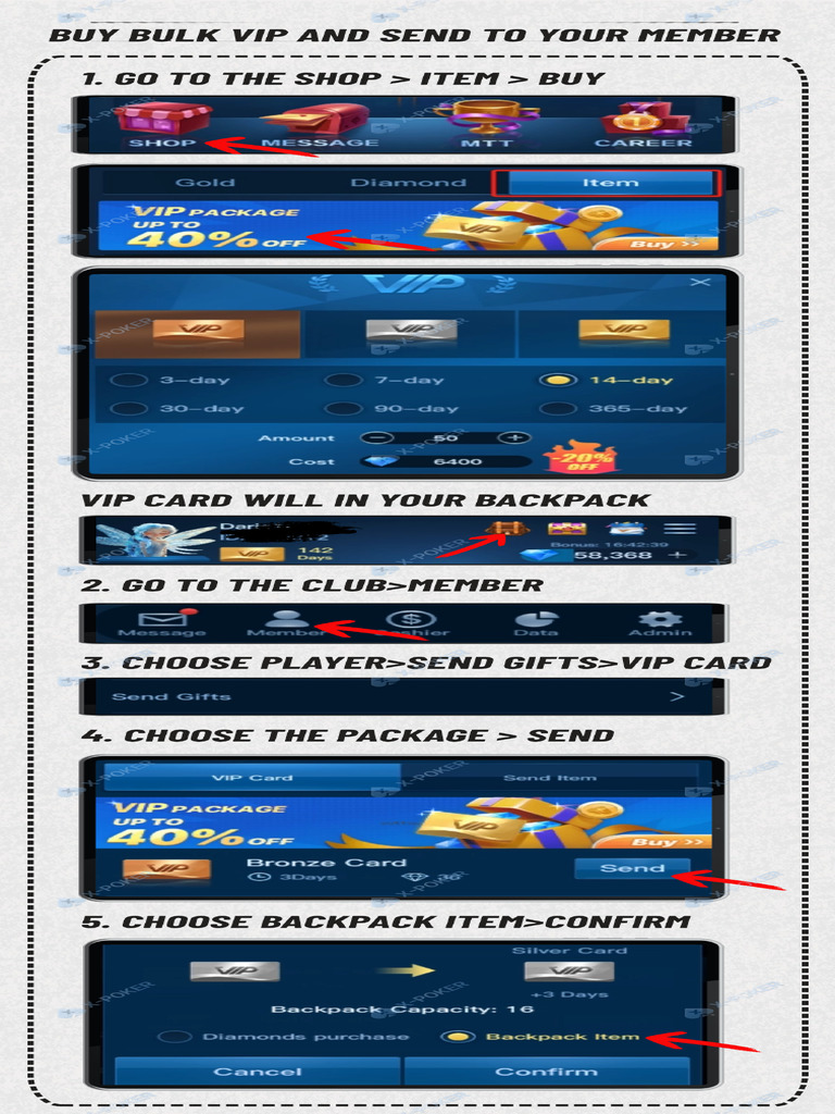 VIP Package | PDF