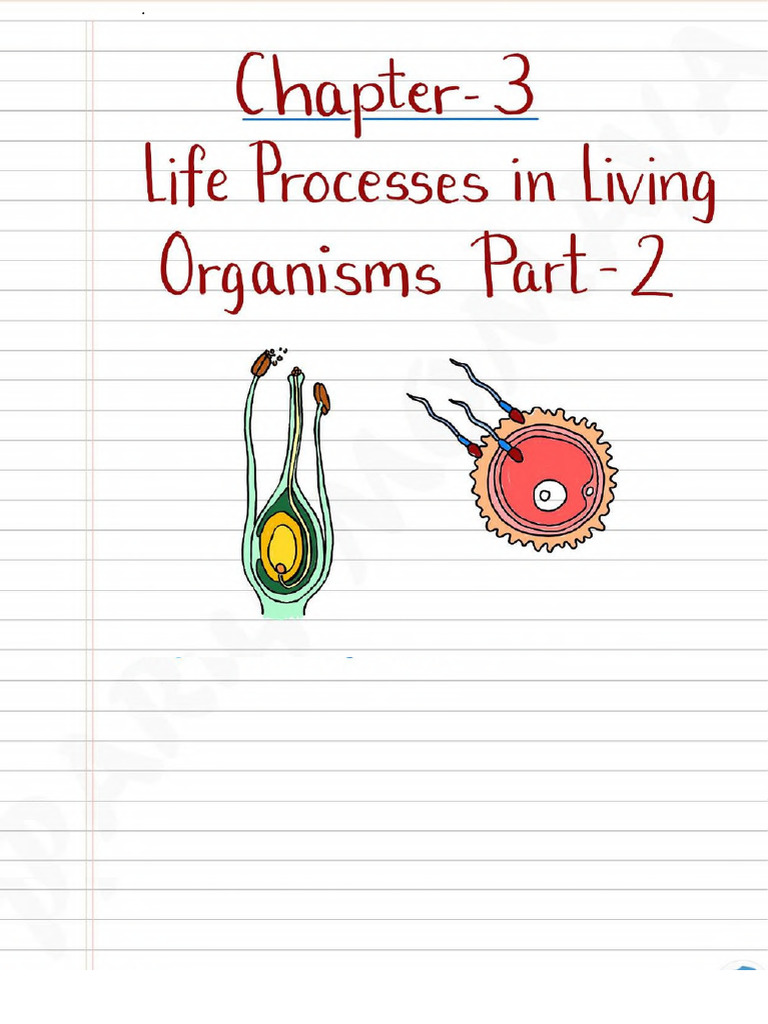 Ch3 - Life Processes | PDF
