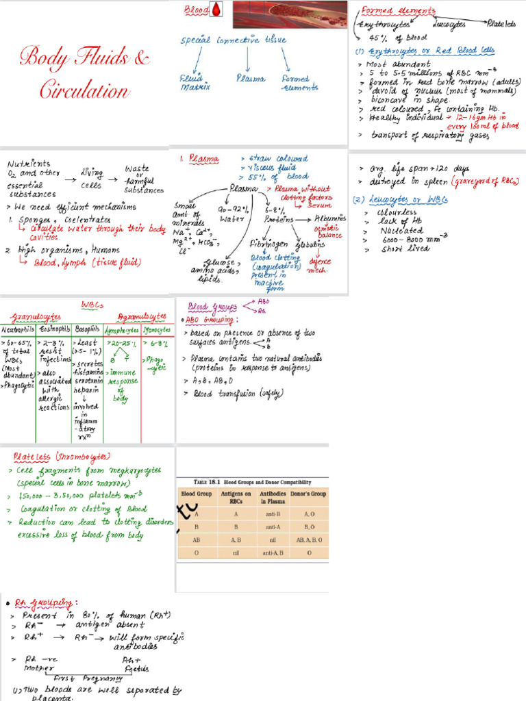 Body Fluids 1 | PDF
