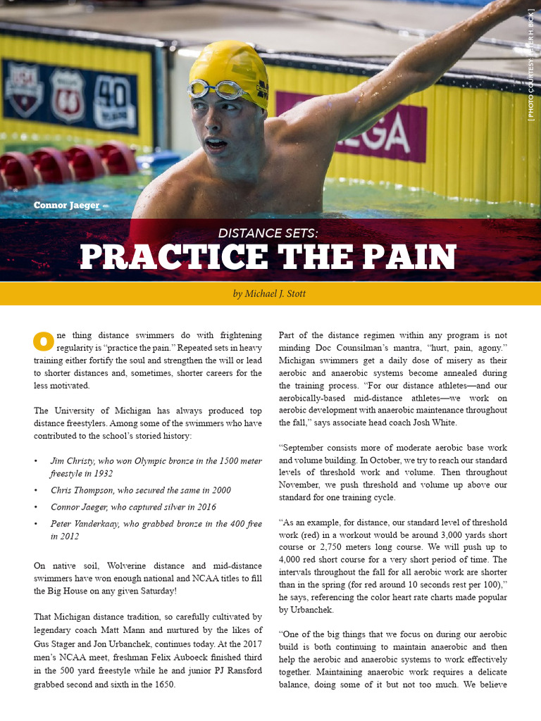 Swimming Technique Michigan Sets | PDF | Swimming (Sport) | Swimming