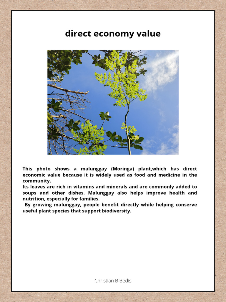 Photo Essay Science | PDF