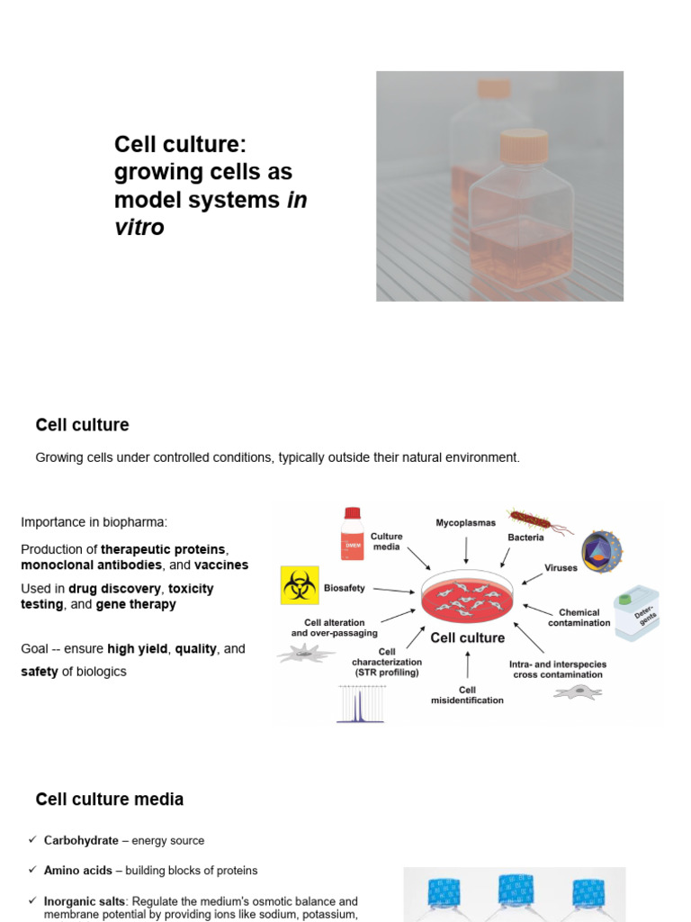 Mammalian Cell Culture and Contamination Control Strategies in ...