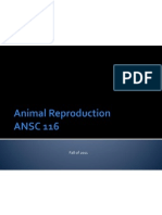 Animal+Reproduction+for+Ez