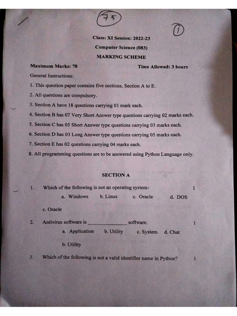 Cs Sample Paper | PDF